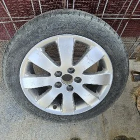 zapaska diska pakrisga