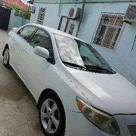 Toyota Corolla 2010