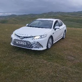 Toyota Camry 2019