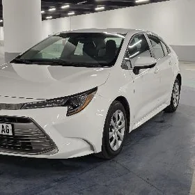 Toyota Corolla 2024