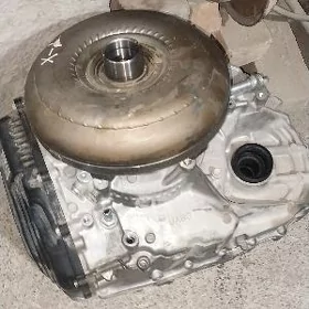 22 haylandyr karopkasy