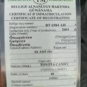 teh pasport .guratlyk wremminn