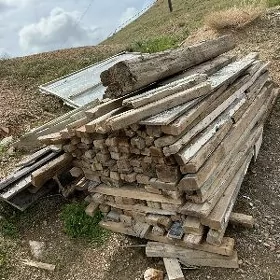Agac burslar