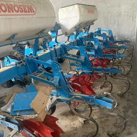 dökün sepýän külte