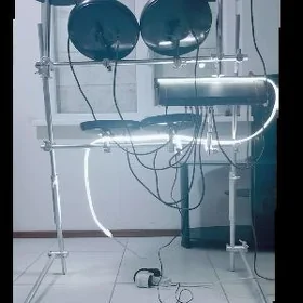 Ales baraban udarnik