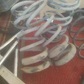 purjynlar basgada kan zat