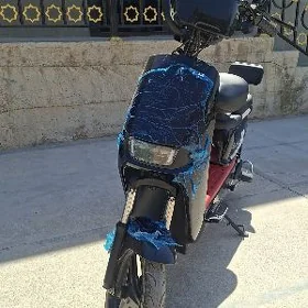 samokat tokly skuter