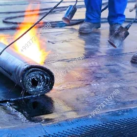 Tol izogam izolýasiýa kryşa