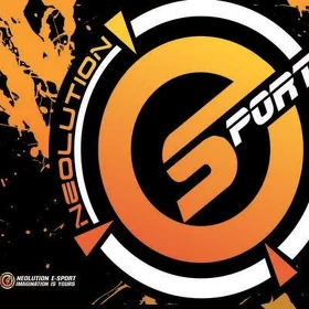 CS2 Kowrik 450x400x6mm