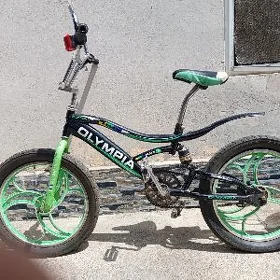 Yiğit,тигир welospied