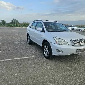 Lexus RX 330 2004