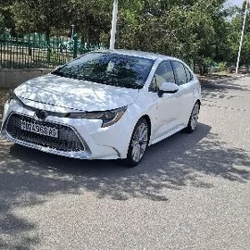 Toyota Corolla 2021