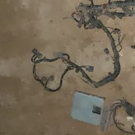 nisan maksima tok kampiyuter