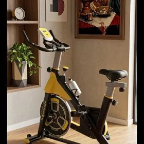 велотренажёр.