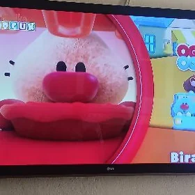 televizior