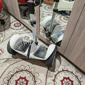 Сигвей