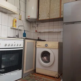 kwartyrant gyz gerek