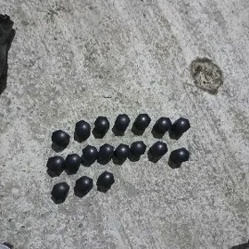 Opel taker boltyñ gapagy