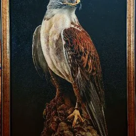 Gush. Птица Ястреб