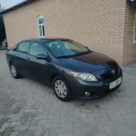 Toyota Corolla 2010