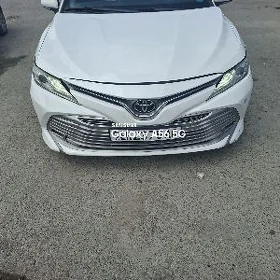 Fara Cemry 2018 2023