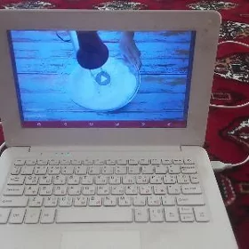 Netbook