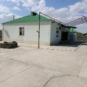 гокдепе хурмант жай