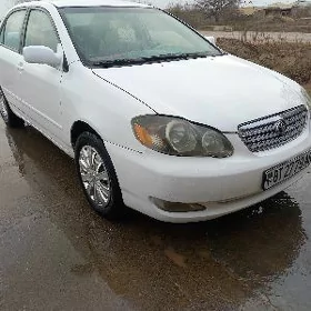 Toyota Corolla 2003