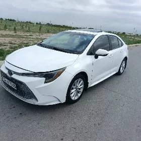 Toyota Corolla 2019