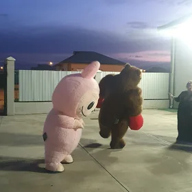 Satlyk şadyýan miskalar