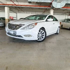 Hyundai Sonata 2010