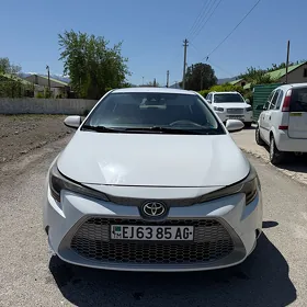 Toyota Corolla 2019