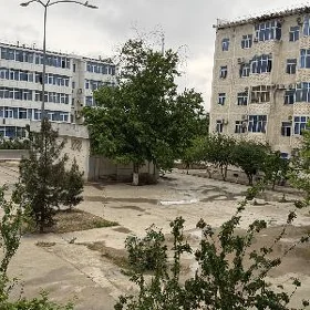 satlyk  eyesinden jay aljak