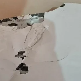 vectra b kapot cep krelya