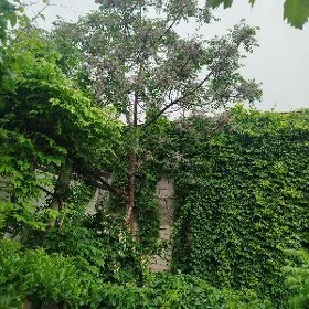 Сдаю комнату