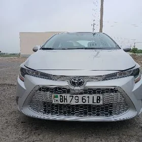 Toyota Corolla 2023