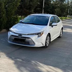 Toyota Corolla 2025