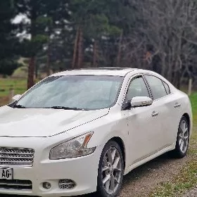 Nissan Maxima 2010