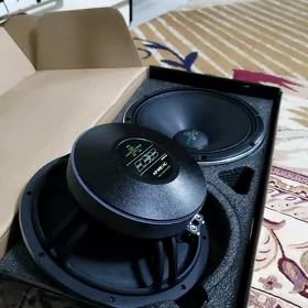 apocalyce arnold 81 As