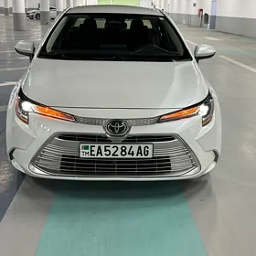Toyota Corolla 2023