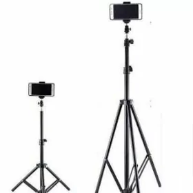 Telefon saklaýjy (ştatiw)