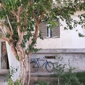 Новый Бахар