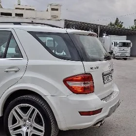 Mercedes-Benz ML350 2010