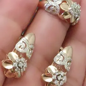 GYZYL KAMPILEKIT GYSAGLY