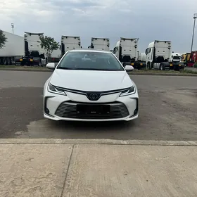 Toyota Corolla 2021