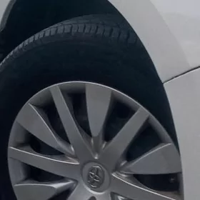 disga 15 lik radnoý