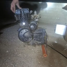 fekon diwitil çok güzel