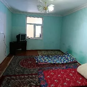 квартира 206а