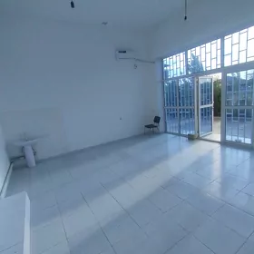 arenda yer dilewarda