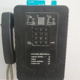 таксафон (РАЛИТЕТ)